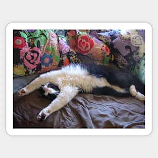 Funny Tuxedo Cat Sleeping Sticker